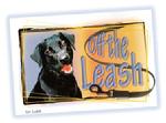 Click to read the award-winning column Off the Leash by Luke.