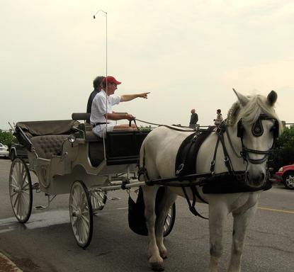 The tour guide directs Clarke's gaze towards the ocean in Old Charleston.