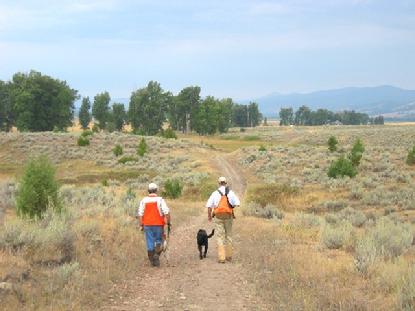 Luke and Clarke, along with their guide, hunt for pheasant in the hills of western Montana.