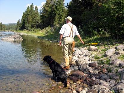Luke takes a break to fetch in the Blackfoot River.