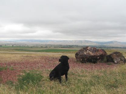 Luke's first view of Wyoming.