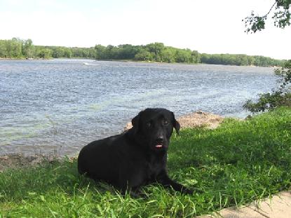 Luke decided to take a break by the Mississippi River.