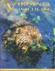 Click on cover of January 2009 issue of Virginia Wildlife to read Clarke's article about engravers.